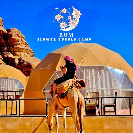 Rum Flower Bubbles Luxury Camp Wadi Rum Eksteriør billede